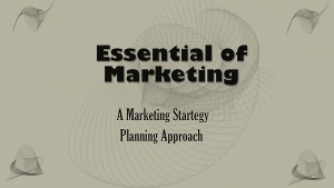 Essentials-of-Marketing-A-Marketing-Startegy-Planning-Approach